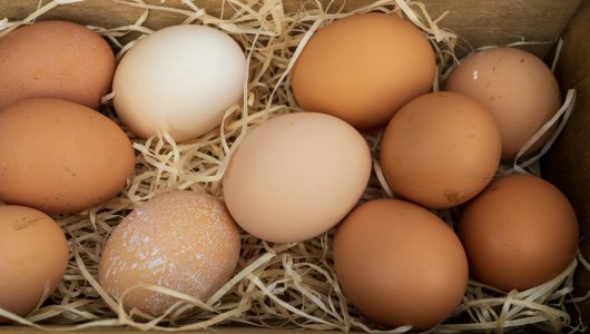 Производители яиц снизили цены. На сколько подешевел продукт в регионе?
